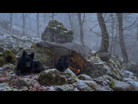 WINTER STORM SURVIVAL Under Rock ! Camping in -28°C Snowy Wilderness