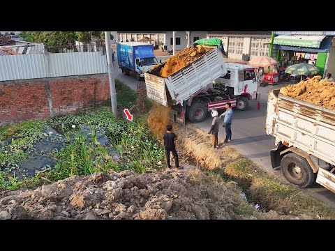 Perfectly Start Project.! 5-TON Dump Trucks Drop Land & D31P Bulldozer Push...