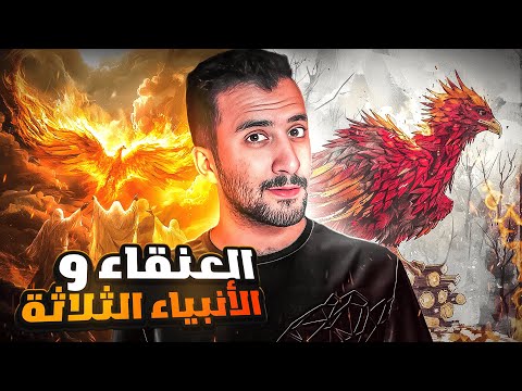 طائر كبير الحجم يتحدى النبي سليمان !! | يمان History