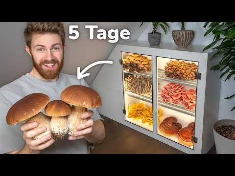 Pilzzucht-Schrank bauen für's Wohnzimmer!