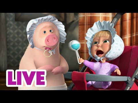 🔴 LIVE STREAM 🎬 Masha and the Bear 🎁🦸‍♀️ Never Grow Up! 🤪🍼