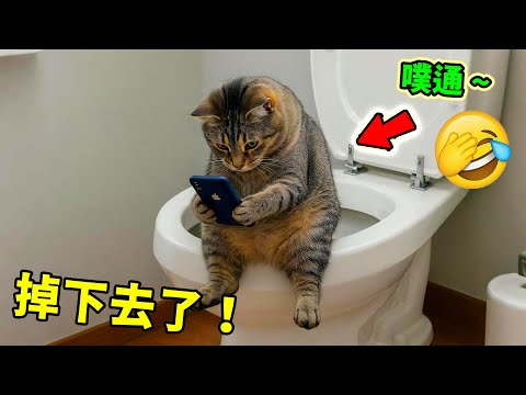 笑瘋了！盤點動物最翻車的10個瞬間！第一名笑到我差點窒息！