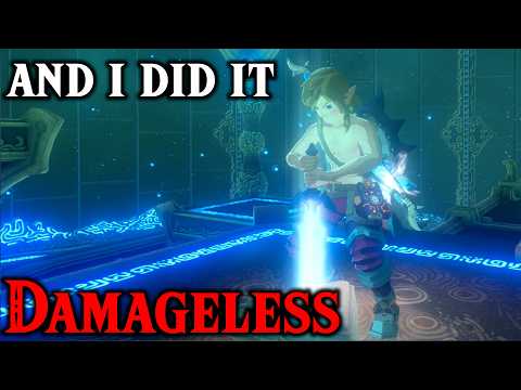 I Speedran Breath of the Wild's HARDEST Challenge