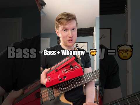 Slap Bass + Whammy Sounds INSANE #bassplayer #bass
