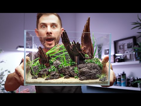 UNS 3N Nano Aquascape Tutorial - Ryuboku for Beginners