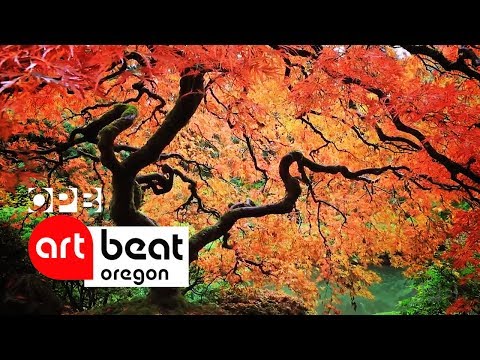 Portland's World Class Japanese Garden | Oregon Art Beat