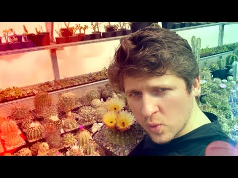 How to make a cactus bloom – Master Georgy's secrets and unique techniques 😅