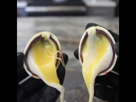 Making homemade Cadbury Creme Eggs #shorts