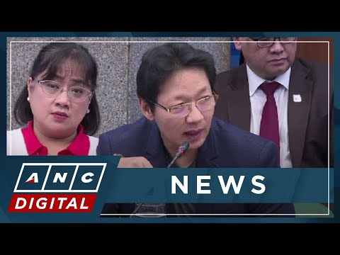 'Baka magsama kayo ni Mrs. Discaya sa detention': Senators press Discayas on kickback ledger | ANC