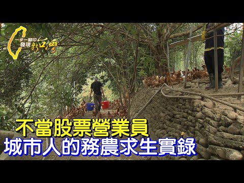 【新竹】種有機樹、煉頂級苦茶油、賣放養雞健康蛋.傻子精神為友善農業闖出路∣一步一腳印【城市農夫求生記】20211114