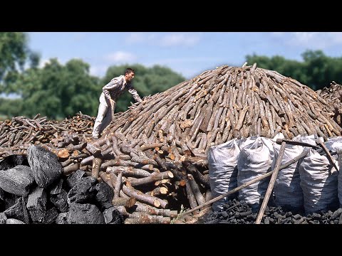 Assembly of an ancestral CHARCOAL BURNER and the transformation of its firewood into charcoal
