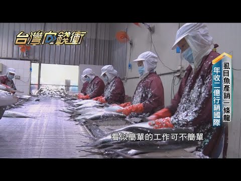 虱目魚產銷一條龍 年收二億行銷國際 20210220【台灣向錢衝】PART2