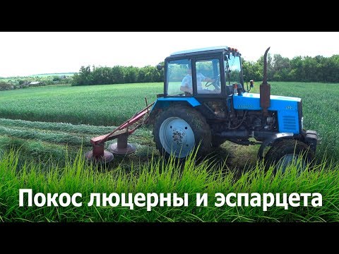 Покос люцерны и эспарцета 2019.
