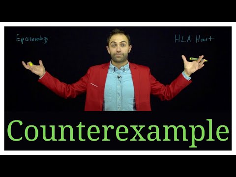 Why do philosophers use *imaginary* examples and counterexamples?