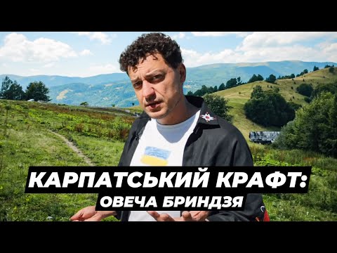 Скільки заробляють карпатські вівчарі? Життя і робота на полонині. Крафтові Мандри.
