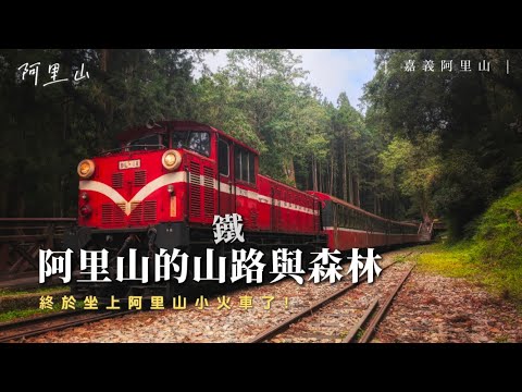 阿里山國家森林遊樂區初體驗！終於坐上阿里山小火車了！神木超級壯觀啊！【伐木累出遊 DAY1】｜草嶺公路、阿里山公路 & 阿里山森林遊樂區｜【賴同學 Student Lai】