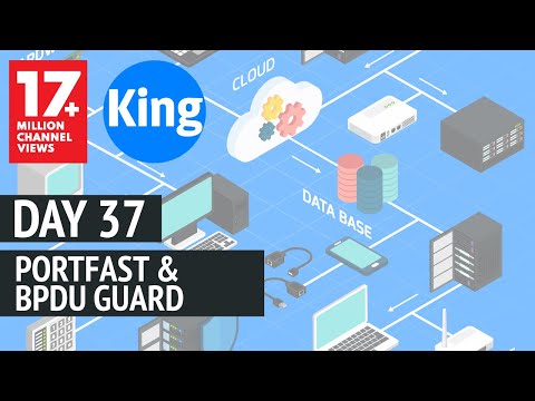 Free CCNA | PortFast &amp; BPDUGuard - Day 37 | 200-301 | Cisco Training 2020