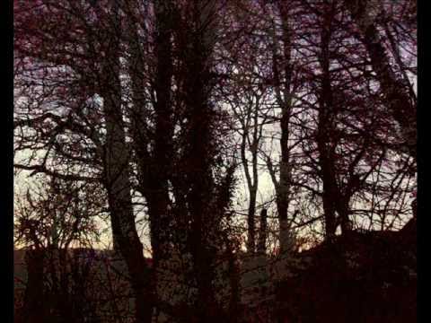 How to make a REAL Magic Wand