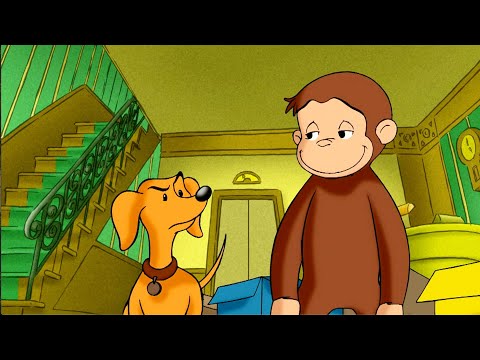 ¡La entrega desastrosa de Jorge!| Jorge El Curioso | Dibujos Animados en Español