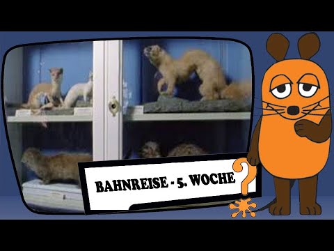 Bahnreise - 5. Woche