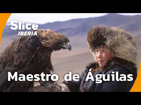 Adiestrar águilas reales: Arte ancestral de los nómadas kazajos | SLICE Iberia | DOCUMENTAL COMPLETO