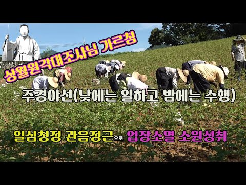 [하루 한시간] 업장해탈 소원성취 지혜증득 / 낮에는 일하고 밤에는 관음정근 /  덕재스님 [4K영상]