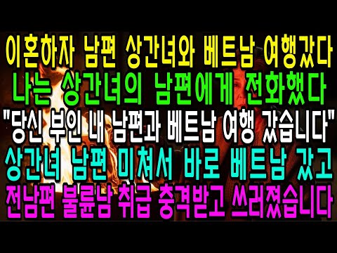 이혼하자마자 남편은 기혼인지 몰랐던 상간녀와 베트남 여행갔다. 나는 상간녀의 남편에게 전화해서, 당신 부인 내 남편과 베트남 여행 갔다고 말했다.