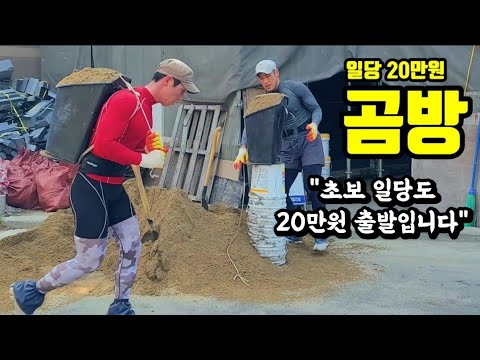 37년 곰방하시는 67세 어르신, 초보들도 20만원 받고 시작 할 수 있는 이유