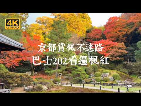 【京都一人旅 EP43】京都賞楓不迷路！坐巴士202遊玩京都知名及小眾紅葉景點 | 東福寺、光明院、今熊野觀音寺、雲龍院、清水寺、知恩院、青蓮院、東寺 | 「京都賞楓指南」電子書無料下載中！