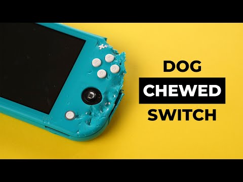 Can I Fix It Dog-Destroyed Nintendo Switch Lite?