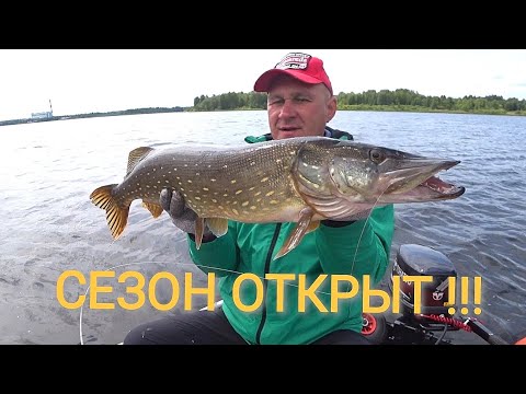 Открыл спиннинговый сезон 2023! Ловля щуки.