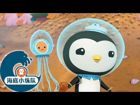 海底小纵队 - 伪装水母 | 海底探险