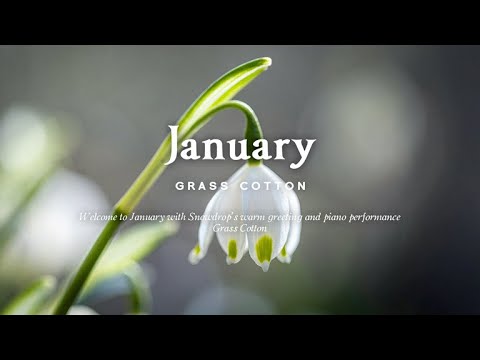 Welcome January with the warm greeting of snowdrops and a piano performance 🌱 l GRASS COTTON+