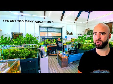 50 Tanks, 1000's Of Fish, HUGE Energy Costs, High Rent | Tour Of My Fish Studio