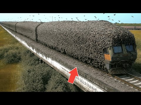 Most Unbelievable Moments Ever Caught on Camera"