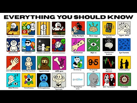 Everything in Life You SHOULD Know, Explained