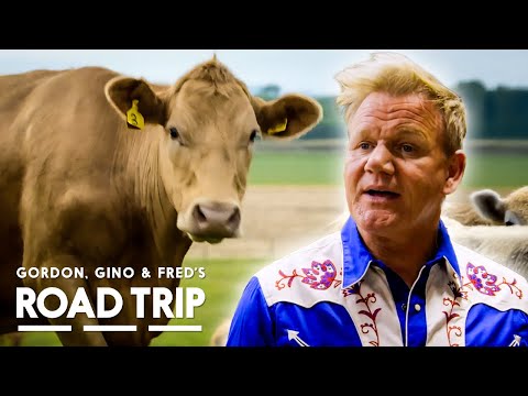 Just A Few Cowboys Over Here! | Gordon, Gino and Fred: Road Trip