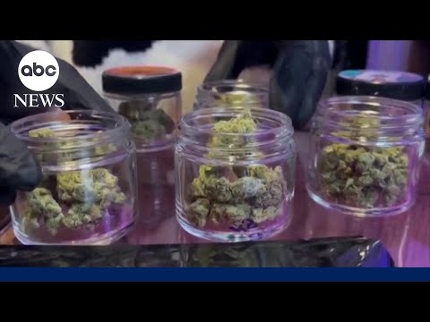 Trump signs order easing marijuana restrictions