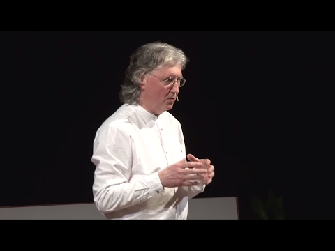 Human Healing Unlocked: transforming suffering into wellbeing | David Reilly | TEDxFindhornSalon