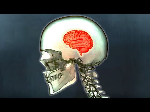 A Man Drank 3 Scoops Horse Electrolytes And Unthinkable Horrors Were Discovered