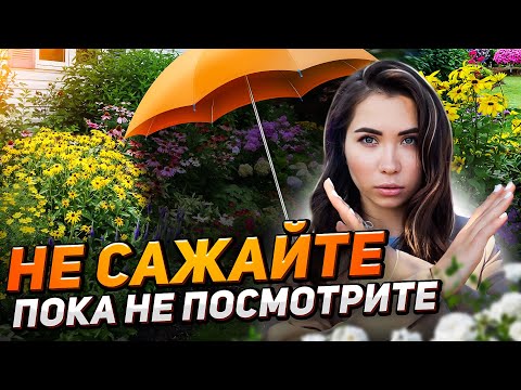 The most unpretentious plants for sun and shade (extreme flower garden)