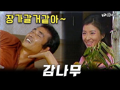 [#전원일기]240화 l 창수는 혜란이와 미래를 꿈꾸는데..  MBC19851001방송
