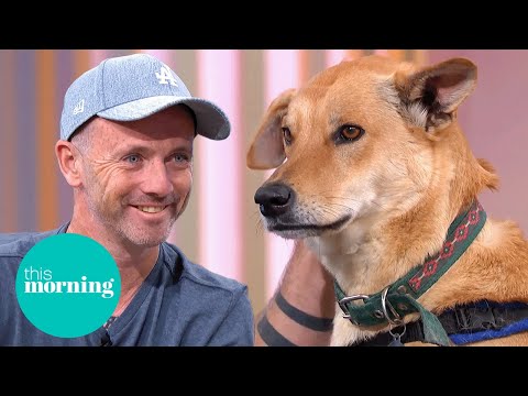 Meet The Man Spending £12k a Week to Feed Street Dogs! | This Morning