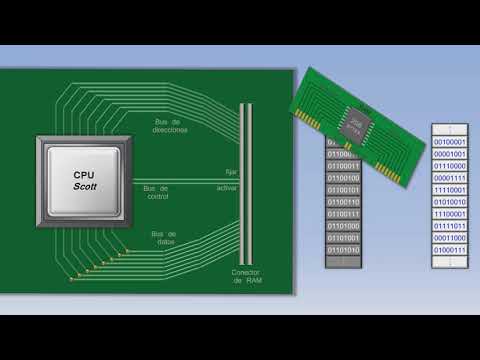 Cómo funciona una CPU y la computadora. #InOneLesson #JClarkScott | Computación sin dolor