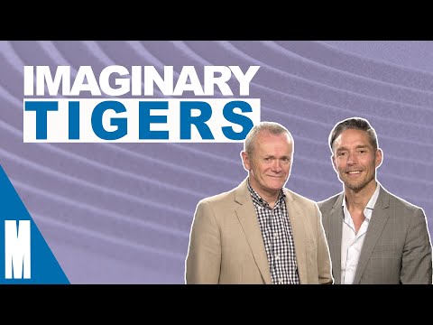 Imaginary Tigers | Mindfulness: Feedback from Craig and Richard - Wk 2 - October 2021