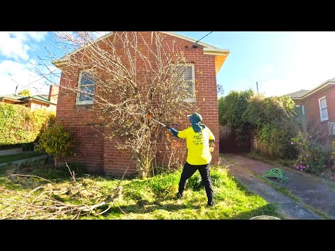 Incredible Yard RENOVATION (Surprising a Young Couple with a FREE Makeover)!