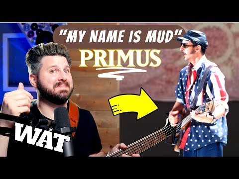 Yep, PRIMUS SUCKS! Bass Teacher REACTS to “My Name Is Mud” Live - Woodstock 94