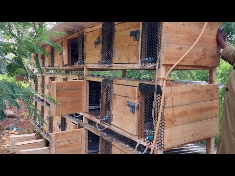 How to Make Modern Rabbit Hutches | By Rabbit Crew Kenya