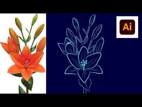 Flower Line art Drawing Illustrator VECTOR  2022