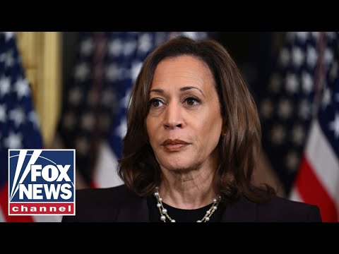 Reporter CALLS OUT Kamala Harris face-to-face: 'WORLD CLASS PIVOT'